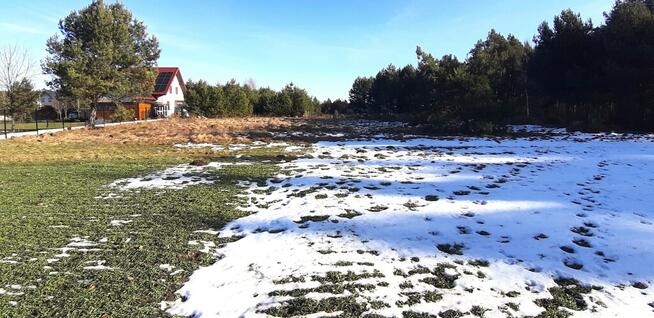 Działka w Bilczy, uzbrojona, za 290zł/m2.
