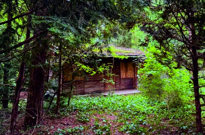 Działka nad Zalewem Zegrzyńskim