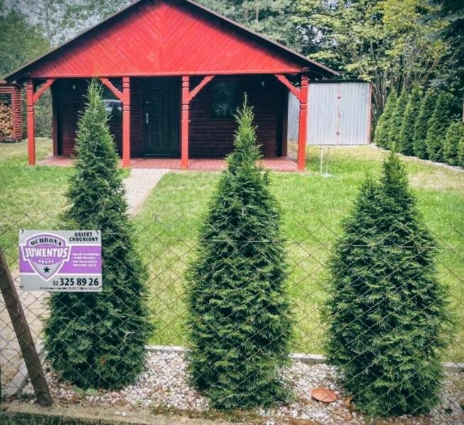 Działka w okolicy lasu BEZ POŚREDNIKÓW