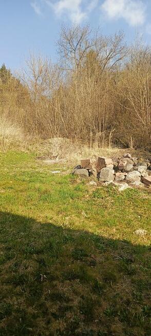 Dom z działką i lasem