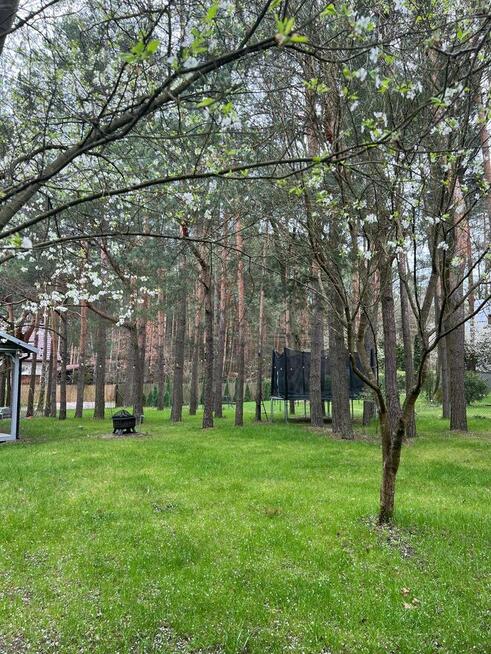 Działka z domkiem 25 m² przy lesie – Sufczyn