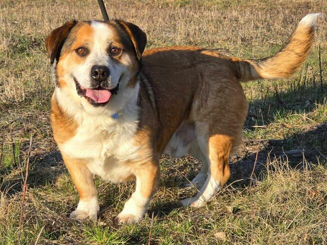 Misio - słodziak nad słodziaki