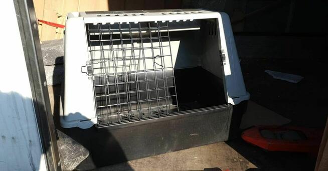Transporter kontenerek transportowy dla psa 80 x 48 wys 60