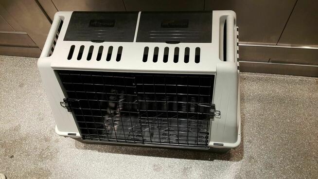 Transporter kontenerek transportowy dla psa 80 x 48 wys 60