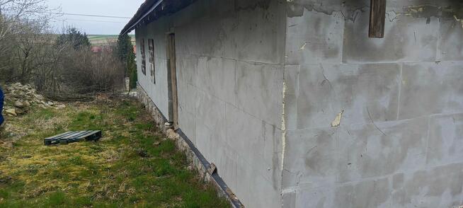 Dom z działką i lasem