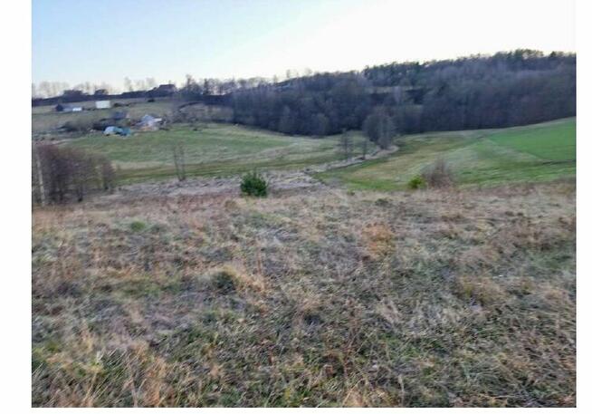 Syndyk sprzeda nieruchomość gruntową