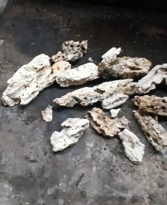 POGOTOWIE KANALIZACYJNE