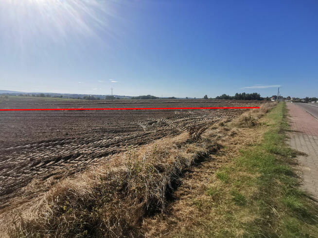 Działka Usługowo-Budowlana 1.42ha Kałków