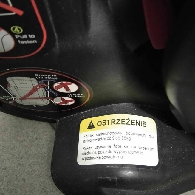 fotelik dla dziecka coletto