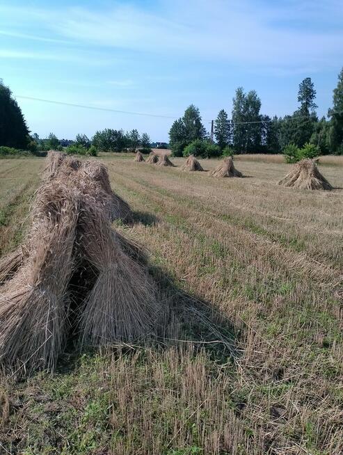 słoma po snopowiązałce