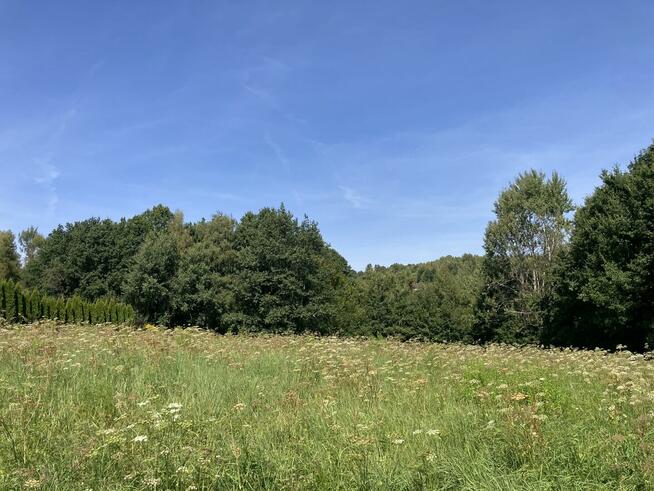 Działka w Raciborsku 17,5 ara w atrakcyjnej cenie!