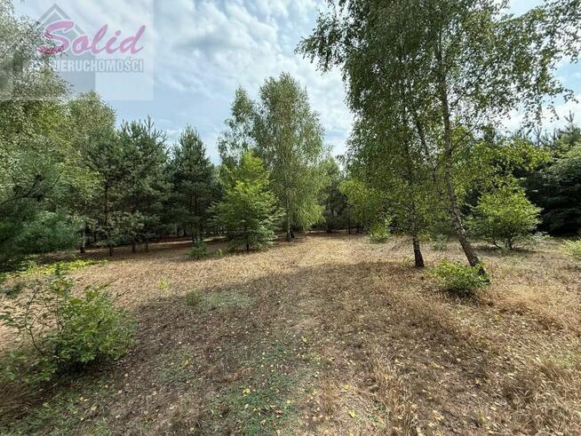 Urokliwa działka przy lesie - idealna pod zabudowę!
