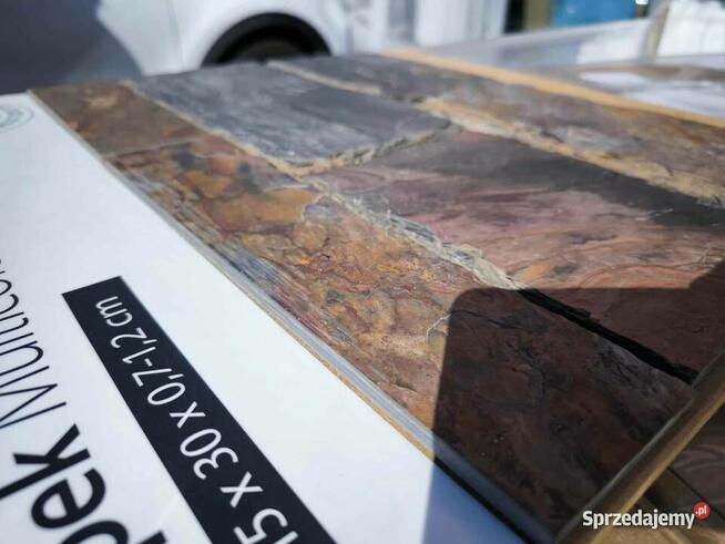 Płytki Łupek Multicolor Mushroom 30x15x0,7-1,2 cm