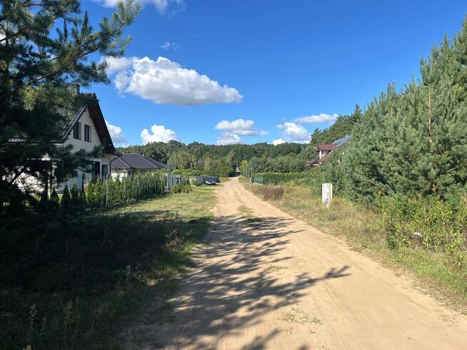 Działka ze ścianą lasu, Podzamek Golubski