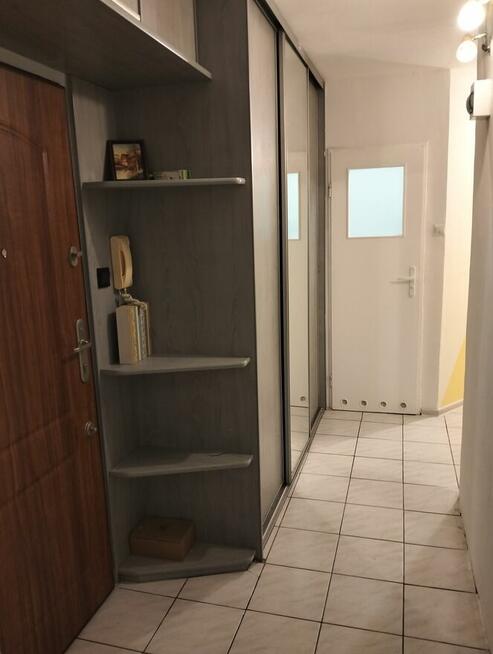 Wynajem - czyste, słoneczne, zadbane mieszkanie 2 pok.