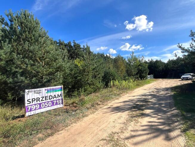 Działka ze ścianą lasu, Podzamek Golubski