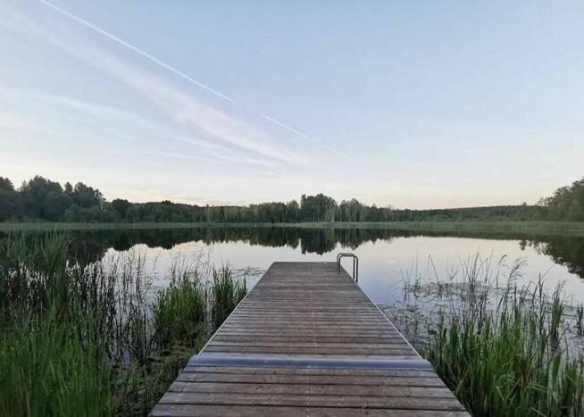 Okuniowiec - działka przy lesie