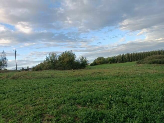 Sprzedam działkę rolną o powierzchni 0,9248