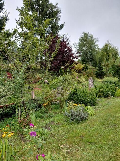 Sprzedam lub zamienię dom 81m2 na wsi na mieszkanie w mieści