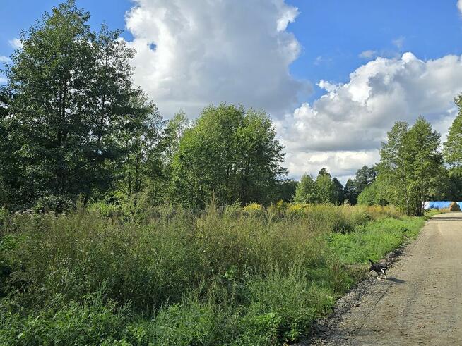 Siedlisko w Żurawińcu, gm. Ostrówek