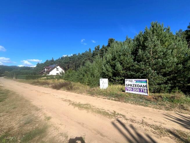 Działka ze ścianą lasu, Podzamek Golubski