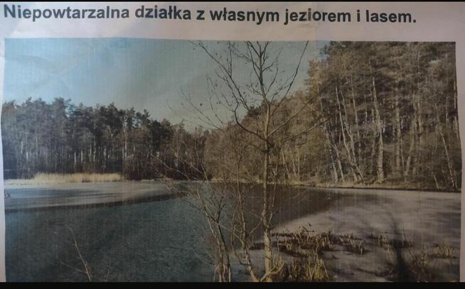 Dzialka lesna z wlasnym jeziorem na sprzedaz