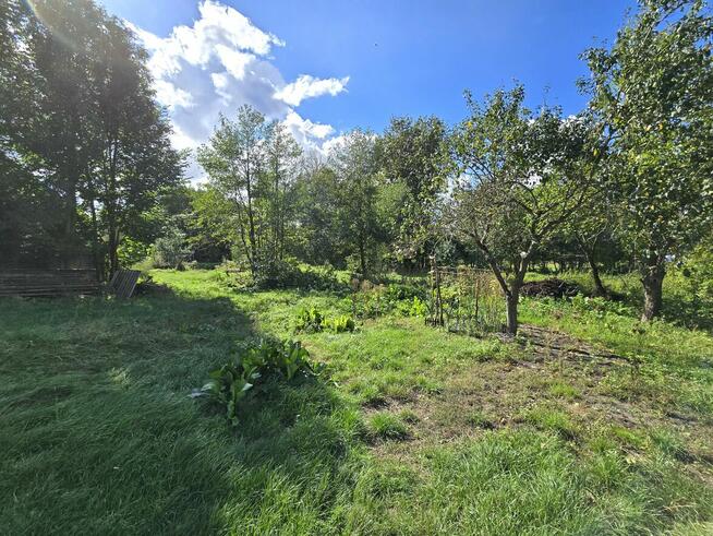 Siedlisko w Żurawińcu, gm. Ostrówek