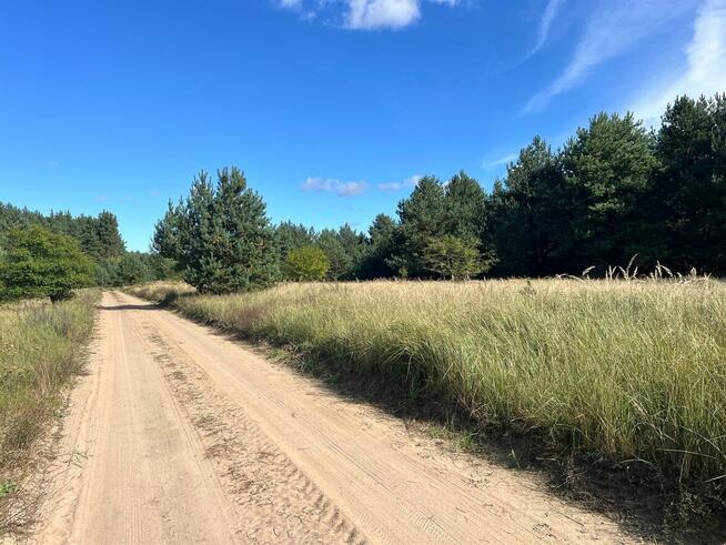 Działka budowlana Golub-Dobrzyń, Zakole