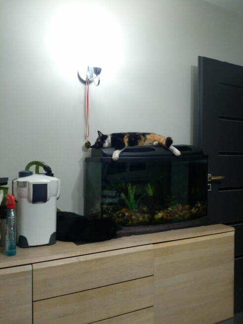 Poznam realną kobietę