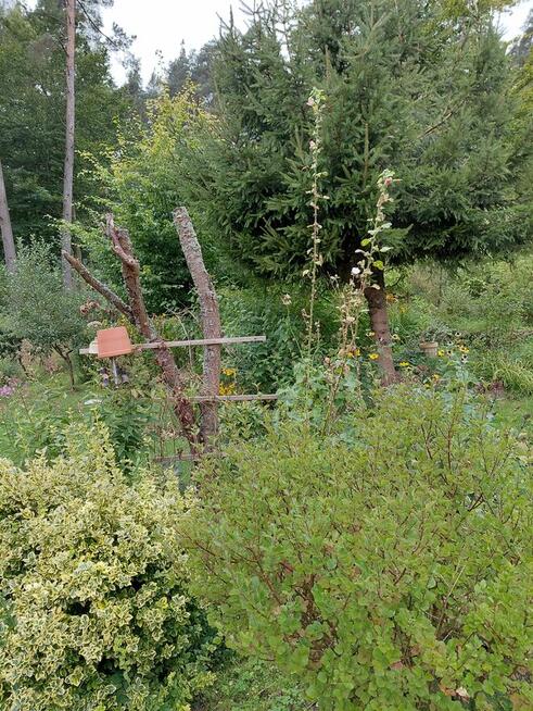 Sprzedam lub zamienię dom 81m2 na wsi na mieszkanie w mieści