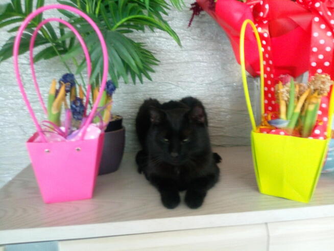 Poznam realną kobietę