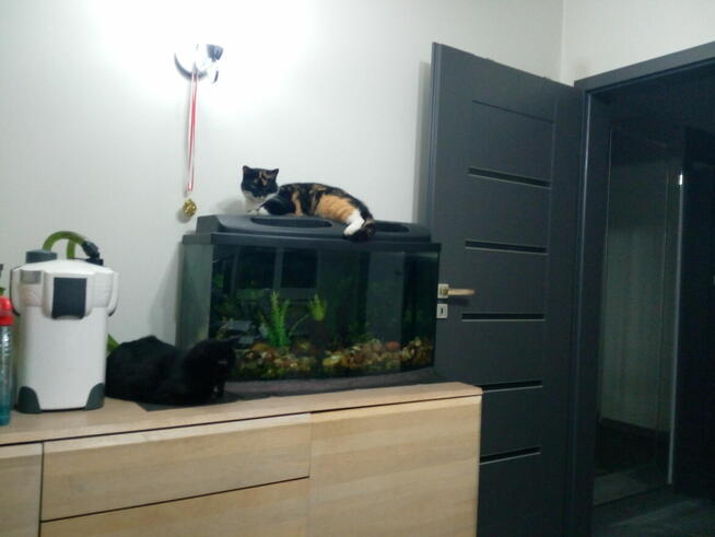 Poznam realną kobietę