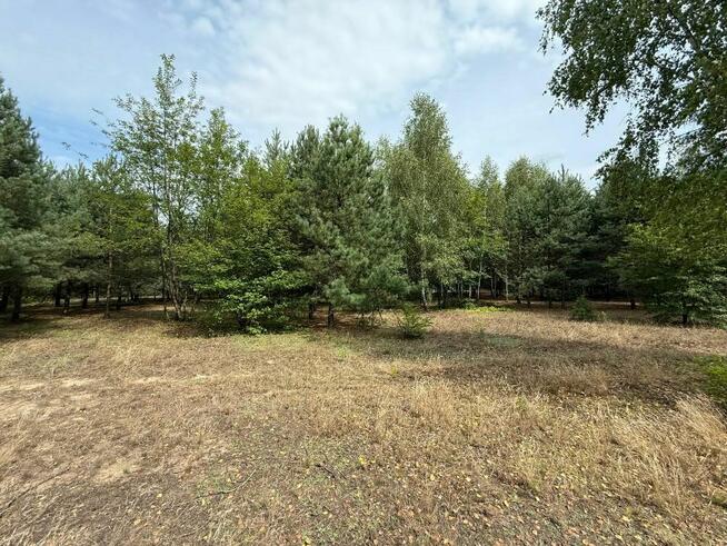 Urokliwa działka przy lesie - idealna pod zabudowę!