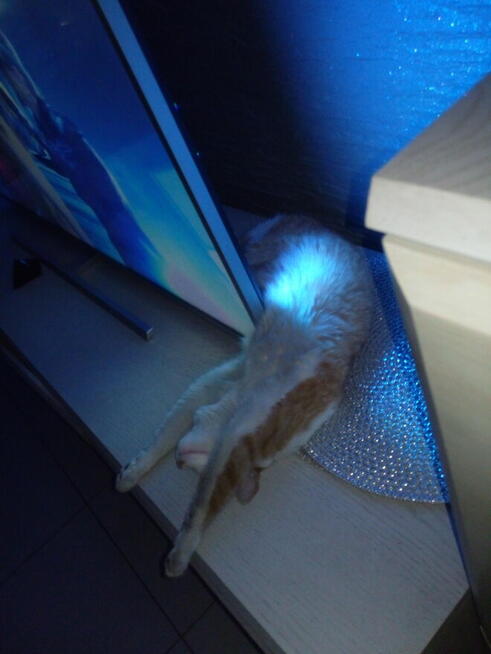 Poznam realną kobietę