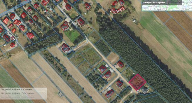 Działka ze ścianą lasu, Podzamek Golubski