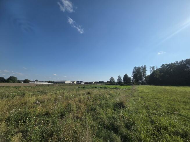 Działka budowlana Duchnów gm. Wiązowna, Góry Warszawskie