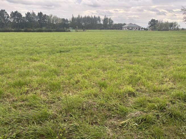 Działka budowlano-zagrodowa –Teodorów, gm. Skórzec