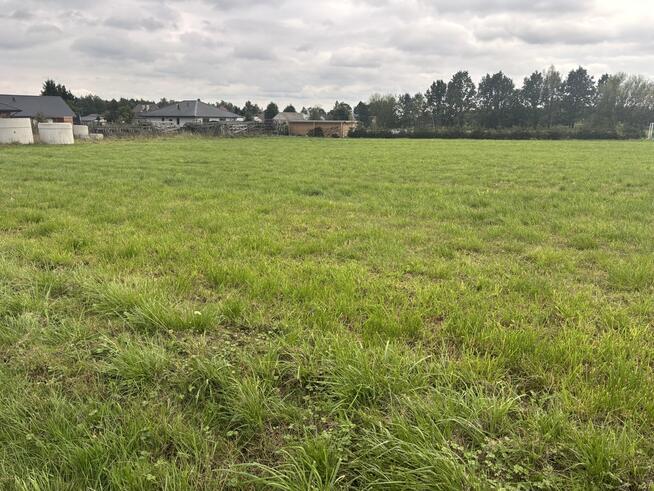 Działka budowlano-zagrodowa –Teodorów, gm. Skórzec