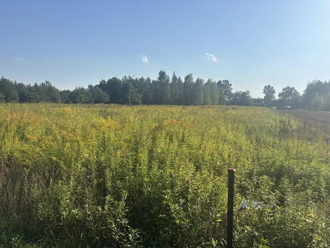 Działki budowlane w Gołąbku, gm. Skórzec