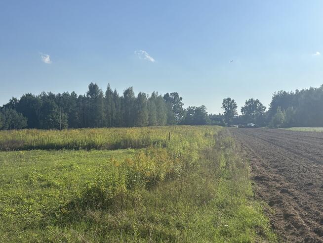 Działki budowlane w Gołąbku, gm. Skórzec