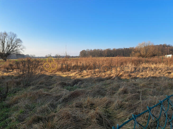 Działka budowlana Bełchatów,