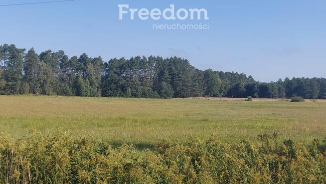 Przyjazny domek na dużej działce