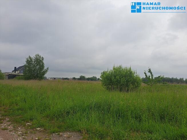 Prężnie rozwijająca się okolica