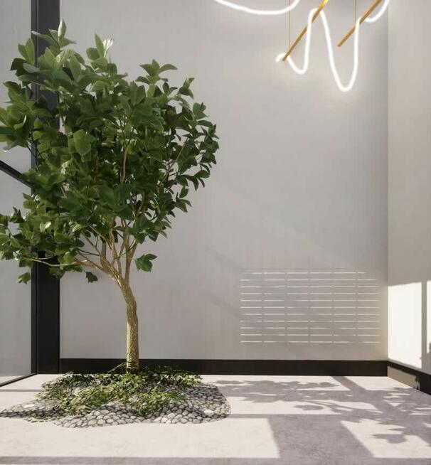 Lokal użytkowy Lublin Śródmieście,