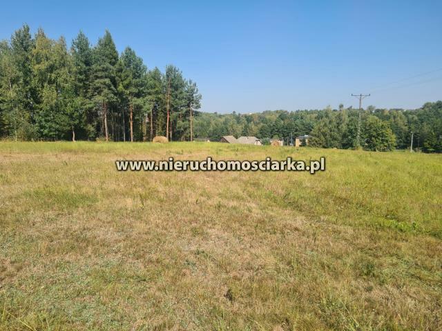 Działka budowlana Wodzisław Śląski