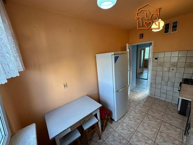 2pokoje,zwierzęta ok,piwnica,Os.Na Stoku 55A