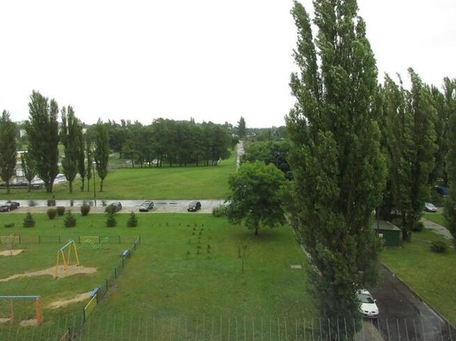 Rojna 50A, Teofilów,przytulna kawalerka z balkonem