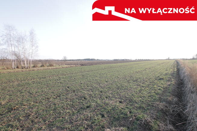 Działka budowlana blisko Lubartowa tylko 4 km