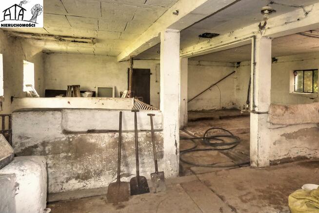 Dom Pszczółki, Rębielcz - Główna