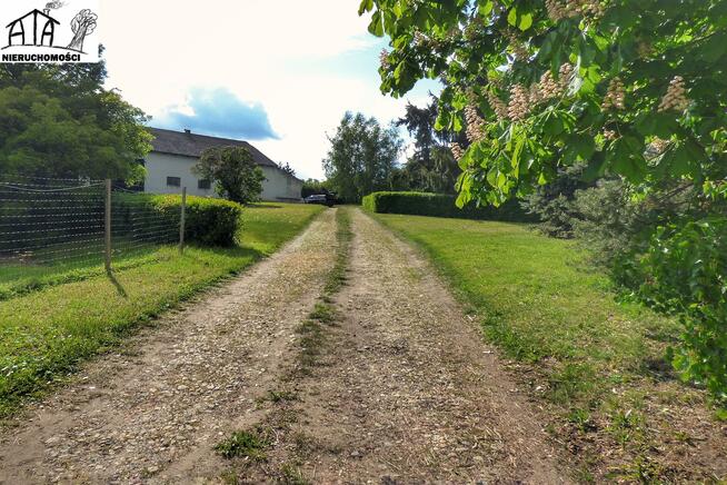 Działka budowlana Pszczółki, Rębielcz - Główna